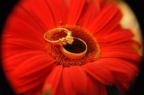 Dalam budaya barat, cincin tunangan adalah cincin yang diberikan tidak ada aturan yang mewajibkan cincin tunangan dan cincin pernikahan harus berupa cincin berlian. Ceritera Cinta & Kehidupan: E-Day Review: Part I