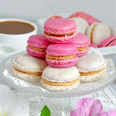 French Macarons With Lesser Sugar Foxy Folksy