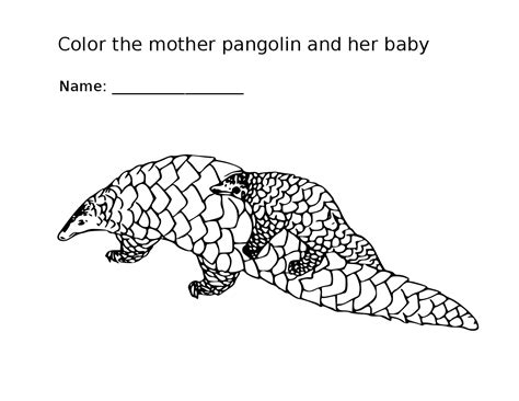 Printable Pangolin Coloring Page