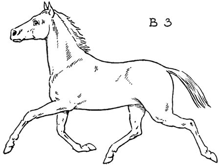 Maybe you would like to learn more about one of these? Search for Horse drawing at GetDrawings.com