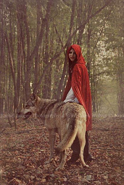 red riding hood red riding hood wolf little red ridding hood charles perrault wolves and
