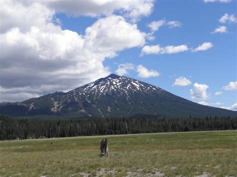 Mt Bachelor From Sparks Lake Photo