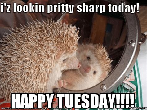 Before you go out into the world, decide to be the best kind of person that you can be. Happy Tuesday Memes, Images and Tuesday Motivational ...