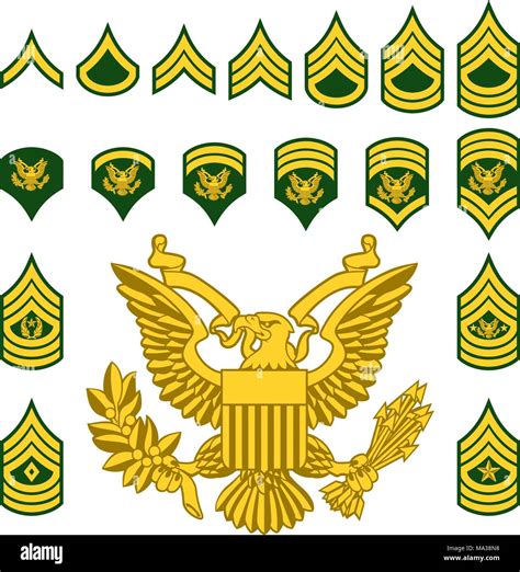 United States Army Enlisted Ranks