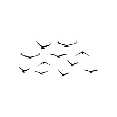 Group Of Birds White Transparent Group Of Flying Birds Flying Birds