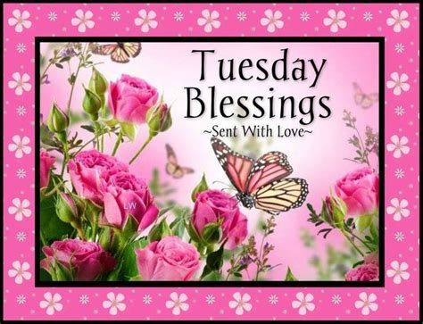 Tuesday Blessings Pictures Photos And Images For Facebook Tumblr