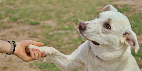 Introducing Project Keep Me – a Program to Help Domestic Violence