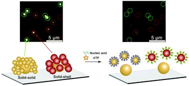 Core Satellite Assembly Of Gold Nanoshells On Solid Gold Nanoparticles For A Color Coding