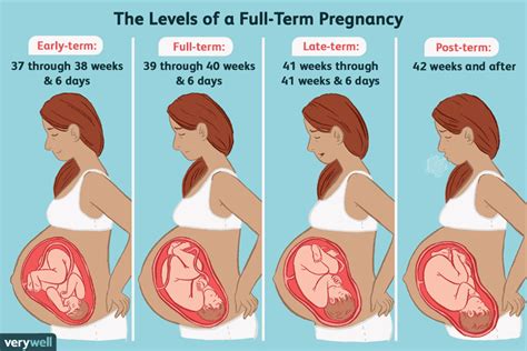 What Does It Mean To Have A Full Term Pregnancy