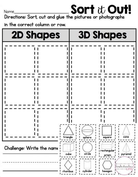 Sort 2d And 3d Shapes Worksheets 99worksheets
