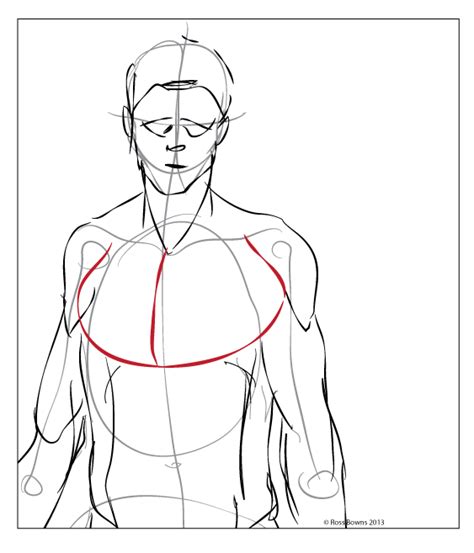 Paint Draw Paint Learn To Draw Anatomy Basics The Chest Muscle