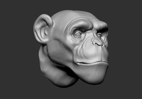 Monkey Head 3d Model 3d Printable Cgtrader
