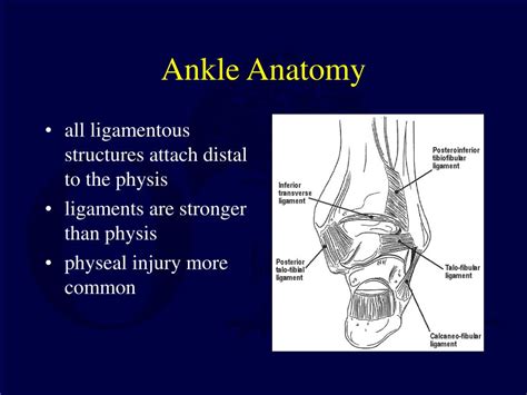 Ppt Pediatric Ankle And Foot Fractures Powerpoint Presentation Id3603149