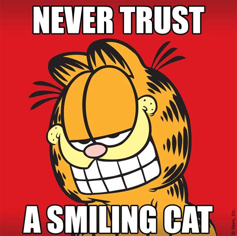 Seriously Dont Garfield Quotes Garfield Pictures Garfield Cartoon