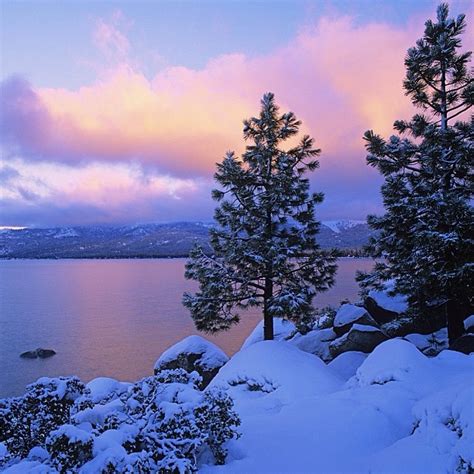Winter Scene Lake Tahoe Snow Winter Whimsy Pinterest