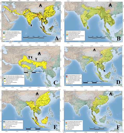 Historical And Current Distribution Ranges Of Six Herbivore Megafauna