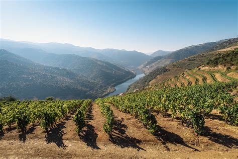 Douro Valley Travel Guide