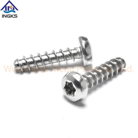 Tapping Thread Stainless Steel 304 Torx Pan Head Security Pt Screws For