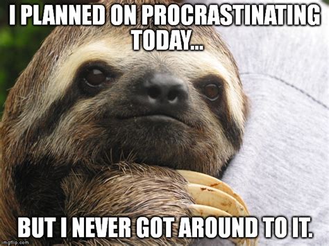 Motivational Sloth Imgflip