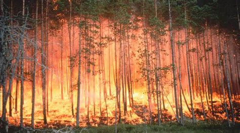 Nehmen Brände zu Warnsignal Klima