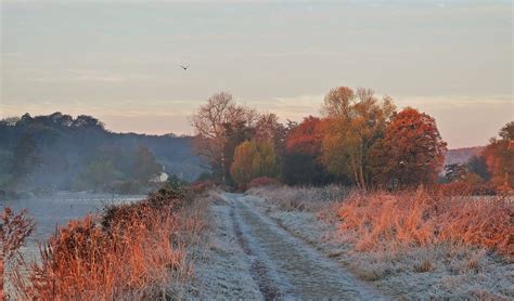Ein Kalter Morgen Im November Landschaftsbilder Landschaftsbau