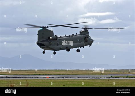 Raf Chinook Based At Odiham Lands At Raf Valley Stock Photo Alamy