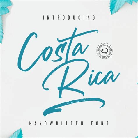Costa Rica Brush Font Tshirt Print Font