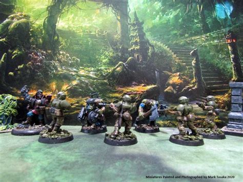 During the thirteenth black crusade, cadia was subjected to the largest chaos invasion since the horus heresy. Mark's Miniatures & RPG Blog: Warhammer 40K Whiteshields ...