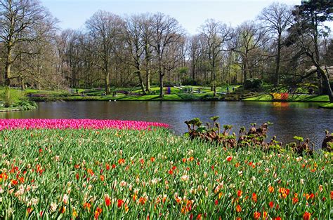 Fonds Decran Pays Bas Parc Étang Tulipes Printemps Keukenhof Arbres