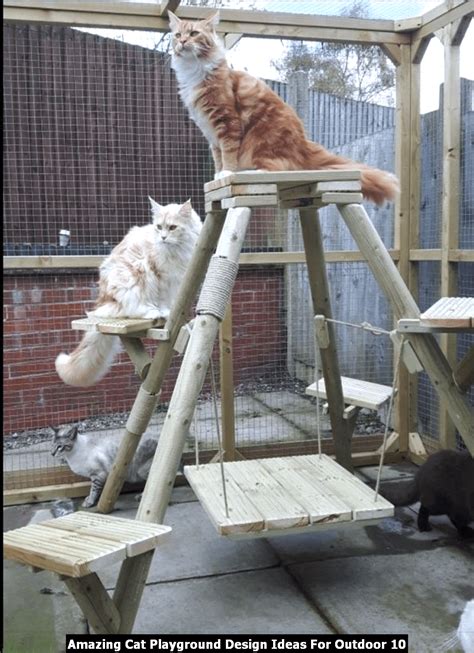 Amazing Cat Playground Design Ideas For Outdoor Sweetyhomee