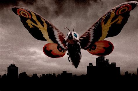 🔥 31 Godzilla And Mothra Wallpapers Wallpapersafari