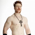 Sheamus Profile,Bio,Pictures,Images & Wallpapers 2011 | All About Sports