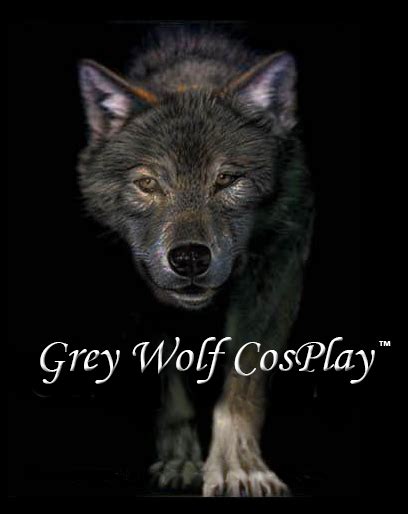 Grey Wolf Cosplay