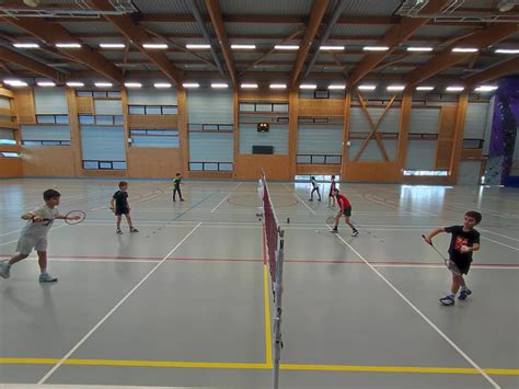 cde n°2 de comité de vendée de badminton badminton 85