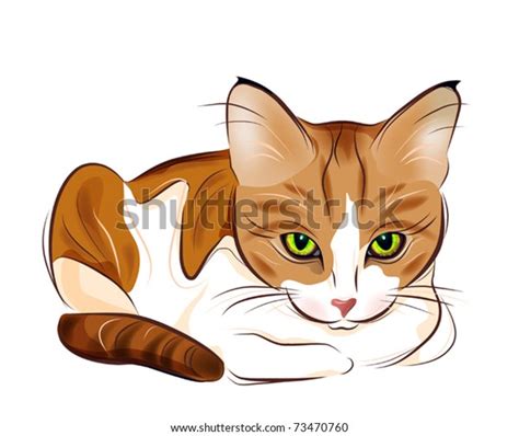 hand drawn portrait ginger tabby cat stock vector royalty free 73470760 shutterstock