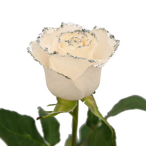 White Roses With Silver Glitter Premium Wholesale Flowers Free