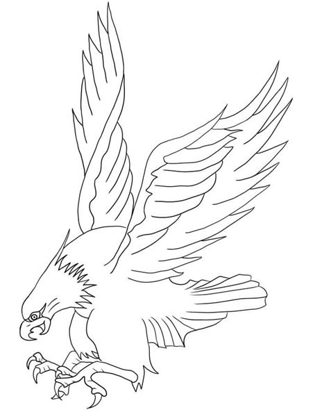 Bald Eagle Coloring Pages Free Printable Coloring Pages For Kids
