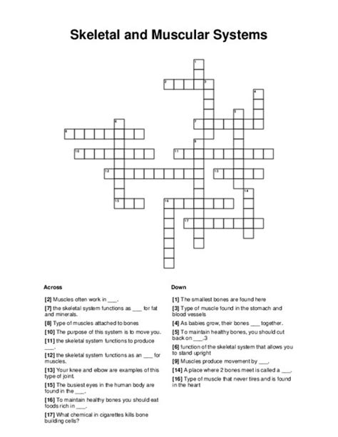 Skeletal And Muscular Systems Crossword Puzzle