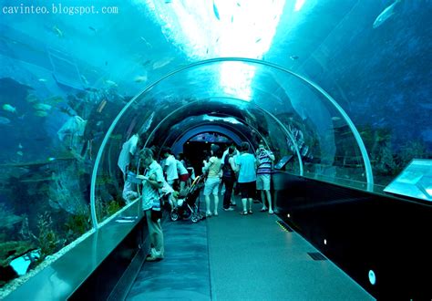 Entree Kibbles Sea Aquarium Worlds Largest Aquarium