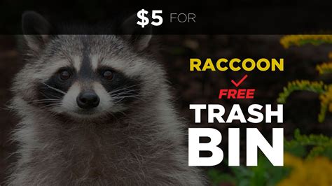 5 For Raccoon Free 🦝 Trash Bins Youtube