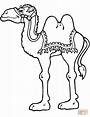 Camel Standing coloring page | Free Printable Coloring Pages