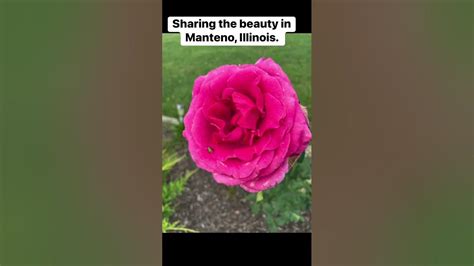 Sharing The Beauty In Manteno Illinois Youtube