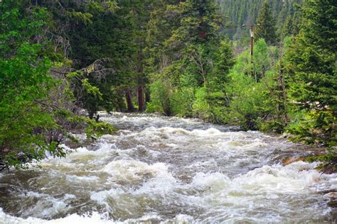 Fast Moving High River Water With Trees Stock Image Image Of Nature