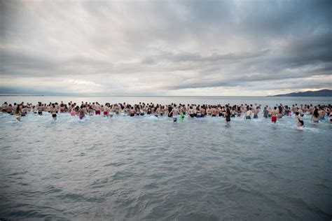 Hundreds Brave Frigid Waters For Ubc Polar Bear Swim Photos Daily