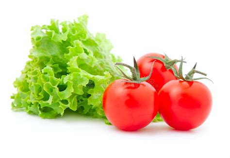 Tomato And Fresh Lettuce Stock Image Image Of Vegetarian 19360845