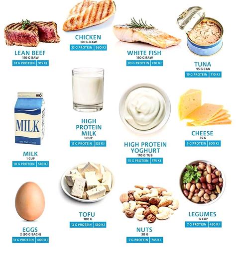 Some Healthy Protein Sources High Protein Recipes Good Protein