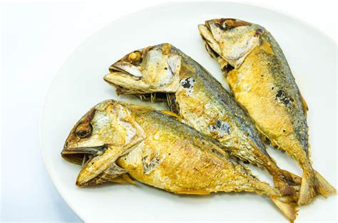 Different Types Of Fish What To Eat And What To Avoid