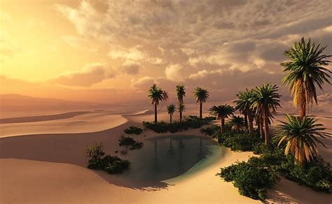 What Is The Importance Of Oasis In A Desert