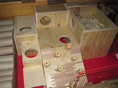 Hamster Auslauf Holz Selber Bauen Bong Aus Holz Bauen