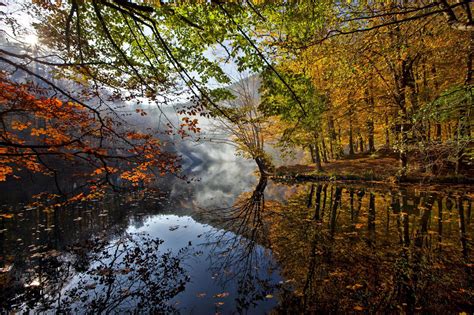 Autumn River Leaves Trees Reflection Wallpapers Hd Desktop And